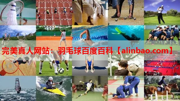 羽毛球百度百科 羽毛球百度百科
